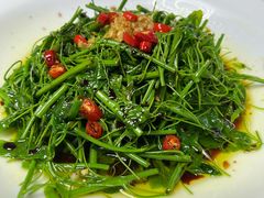 -张鸟园农家乐(张鸟园店)