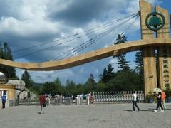 门面-五营红松林海景区