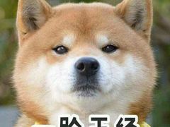 -德福兴(苏站路店)