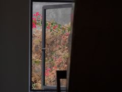 -素咫咖啡CLIFEROSE