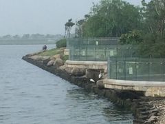 -上海滴水湖皇冠假日酒店