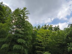 -宜兴龙背山森林公园