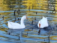 -北京天湖会议中心