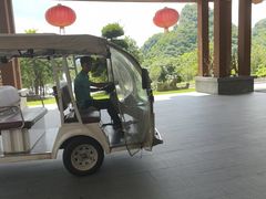 -英德宝晶宫天鹅湖茶语温泉