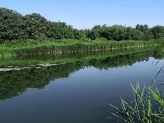 -大兴滨河森林公园