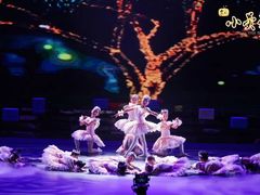 -小荧星艺校(浦东中环分校)