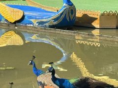 -西双版纳原始森林公园