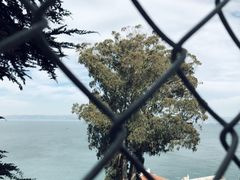 -阿尔卡特拉斯岛