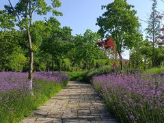 -南北湖风景区