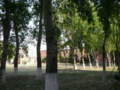 android_upload_pic-辽宁大学(崇山校区)