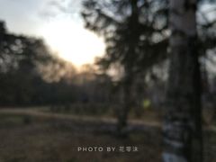 -长春市南湖公园