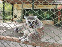 -水上乐园·欢乐世界