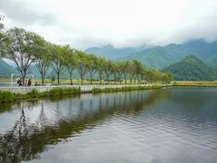 -大九湖