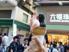 -柠檬车露(卖草地店)