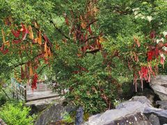 -叠溪松坪沟景区