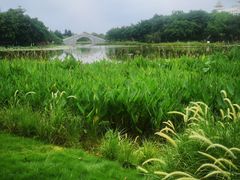 -映月湖公园