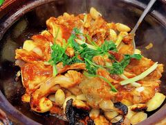 -新雅粤菜馆(南京东路店)