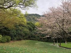 -中国茶叶博物馆(双峰馆区)