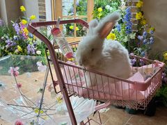 -HERRE·FARM 赫尔露营农场·团建聚会包场