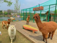 -太阳岛度假酒店