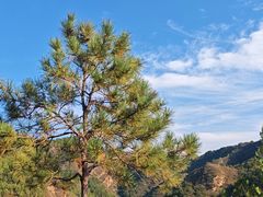 -仙居谷风景区