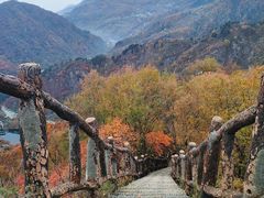 -秦岭终南山世界地质公园翠华山景区