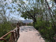 -元谋土林景区(物茂土林)