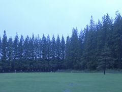 -黄海国家森林公园