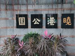 -晓港公园