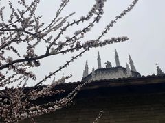 -洪家楼教堂
