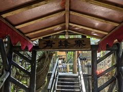 -天门沟九州驿站树上汤泉
