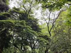 -碧峰峡风景区