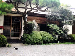 -奈良公园