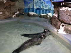 -南昌海洋公园