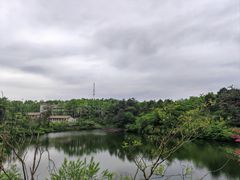 -四明山国家森林公园