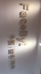 -FACE·日本小颜矫正美容整骨サロン