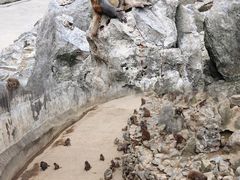 -贵州森林野生动物园