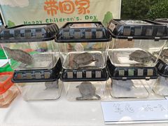 -北京市海淀外国语实验学校