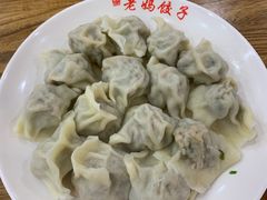 茴香土猪肉水饺-霍嘟嘟手工水饺(黄山花园店)
