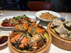 -杨氏青龙虾·羊蝎子(金盛路总店)