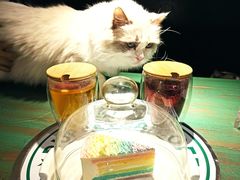 -喵喵咪呀布偶猫咖(春熙路店)