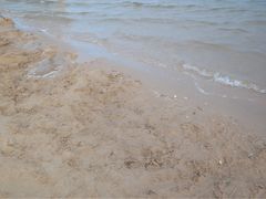 -碧海金沙