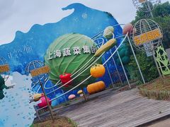 -上海都市菜园