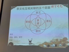 -诗宇时光茶艺书法古琴培训