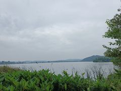 -东湖落雁景区