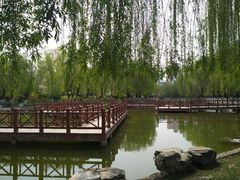-丰台科技园生态主题公园