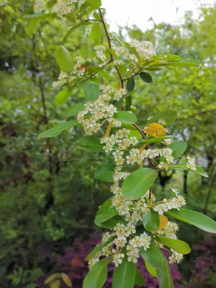 公園綠化很不錯,交通也是相當的方便