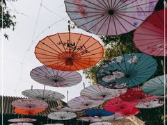 -望江楼公园