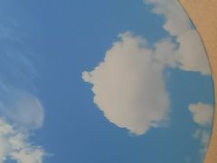 -8号蒸饺精品炖鸽子(康特商街店)