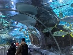-大连圣亚海洋世界
